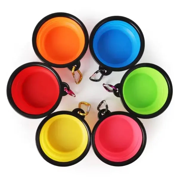 Collapsible Dog Bowl