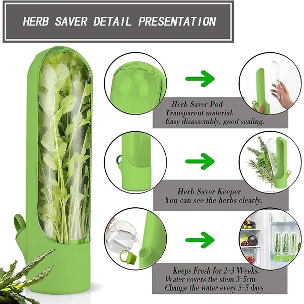 Food Grade ABS Vegetable & Herb Cooler