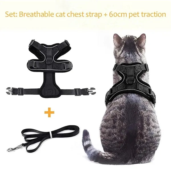 Rabbitgoo Cat Harness Set