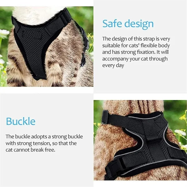 Rabbitgoo Cat Harness Set