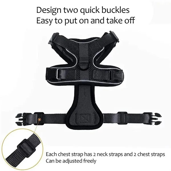 Rabbitgoo Cat Harness Set