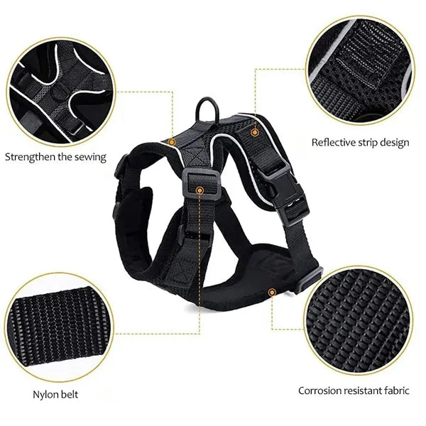 Rabbitgoo Cat Harness Set