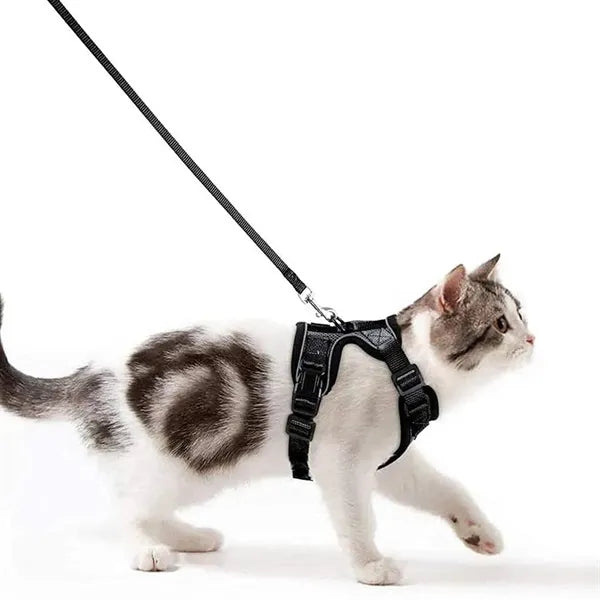 Rabbitgoo Cat Harness Set