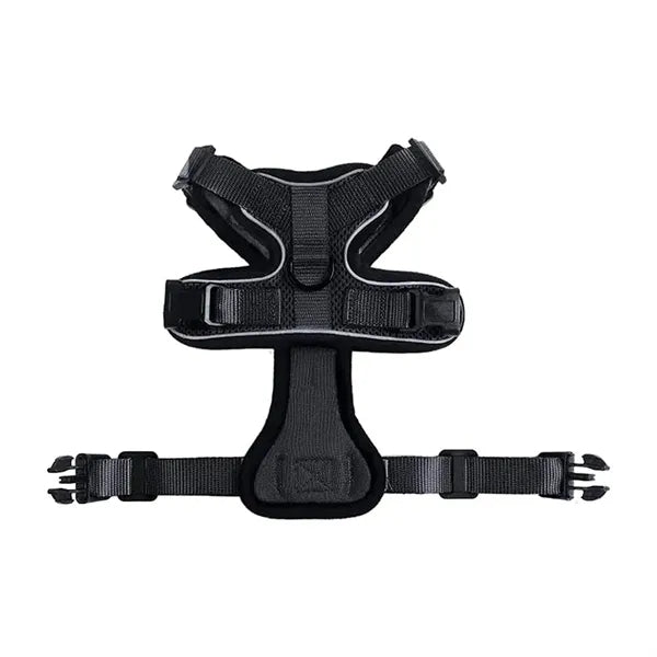 Rabbitgoo Cat Harness Set