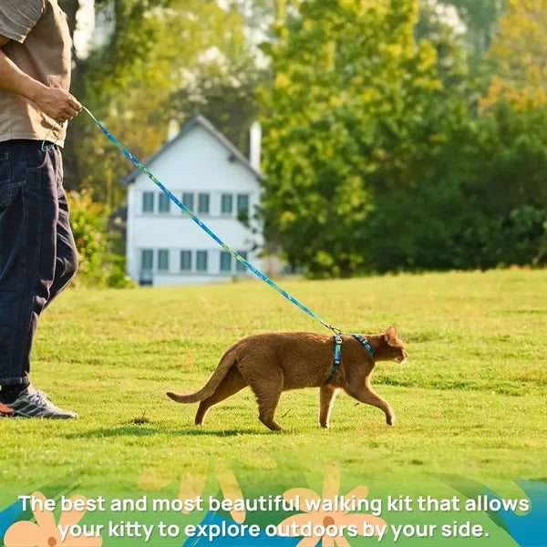 Adjustable rabbitgoo Cat Harness