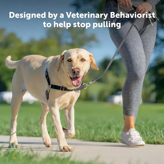 Dog Walking Harness