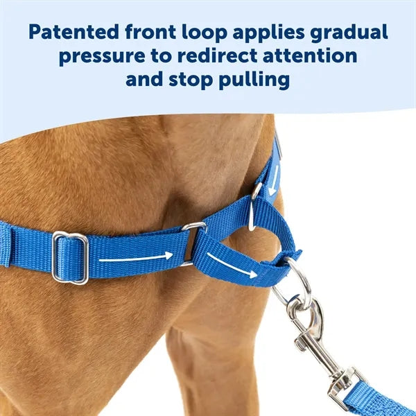 Dog Walking Harness