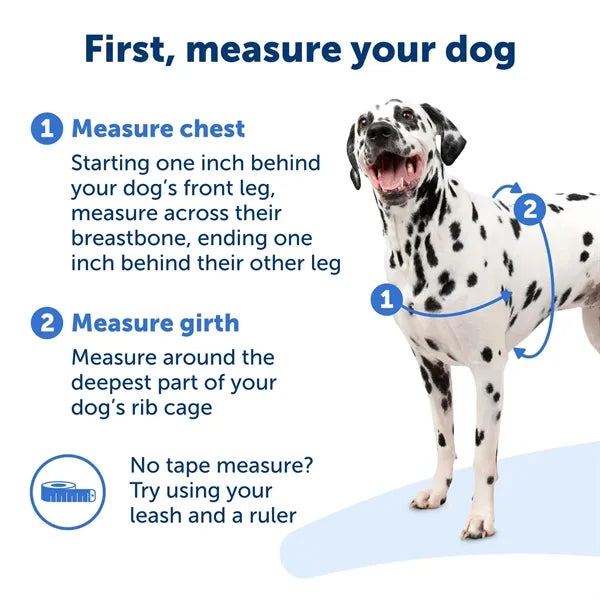 Dog Walking Harness