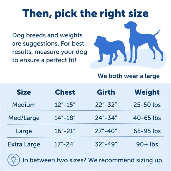Dog Walking Harness