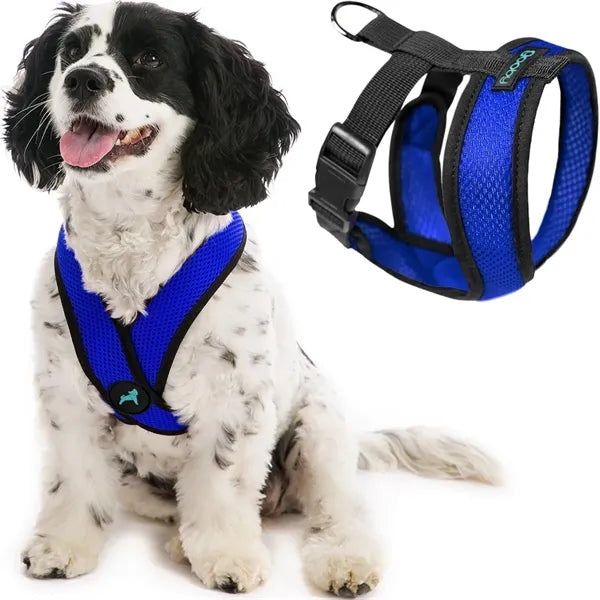Pet Control Harness
