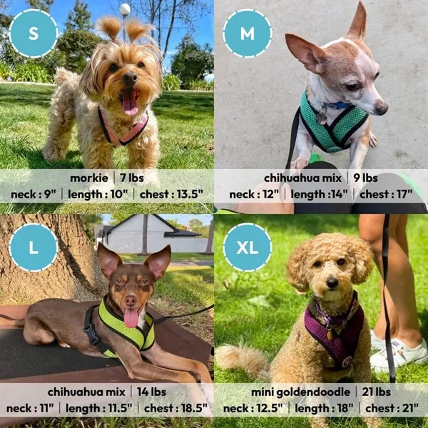 Pet Control Harness
