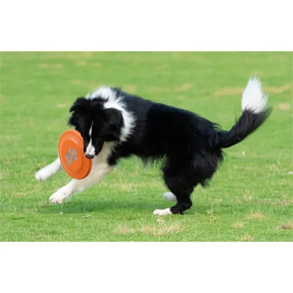 Soft Rubber Dog Frisbee