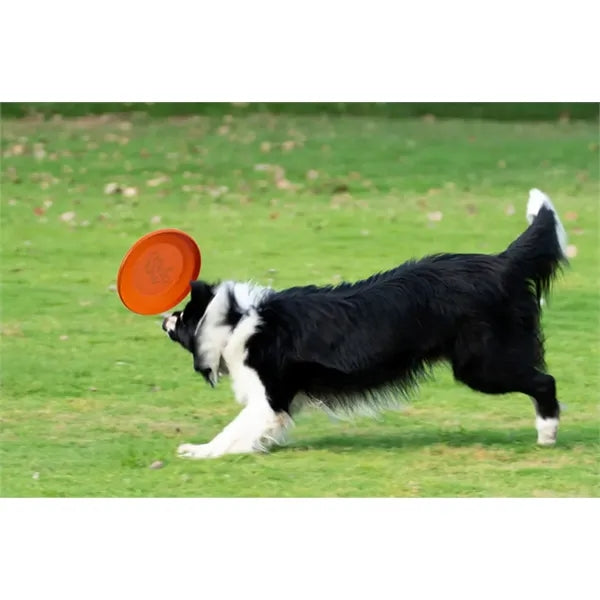 Soft Rubber Dog Frisbee