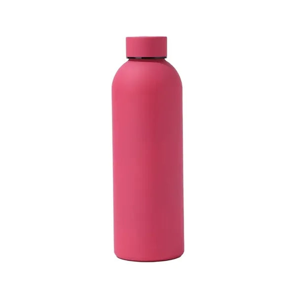 17oz Double-Wall Vacuum Insulated Stainless Steel Bottle wit