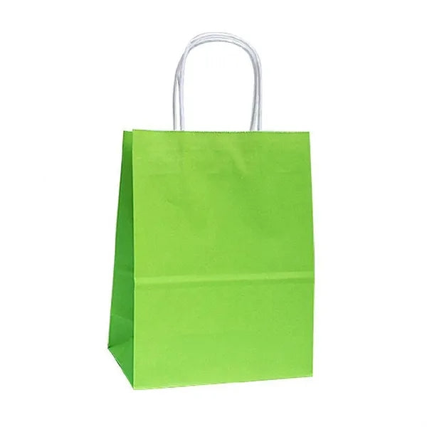 Colorful Kraft Paper Gift Bag with Twist Handle