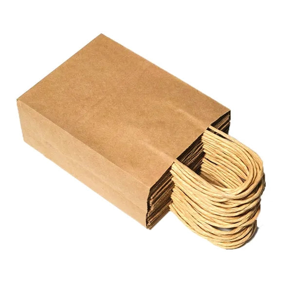 Colorful Kraft Paper Gift Bag with Twist Handle