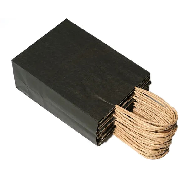 Colorful Kraft Paper Gift Bag with Twist Handle