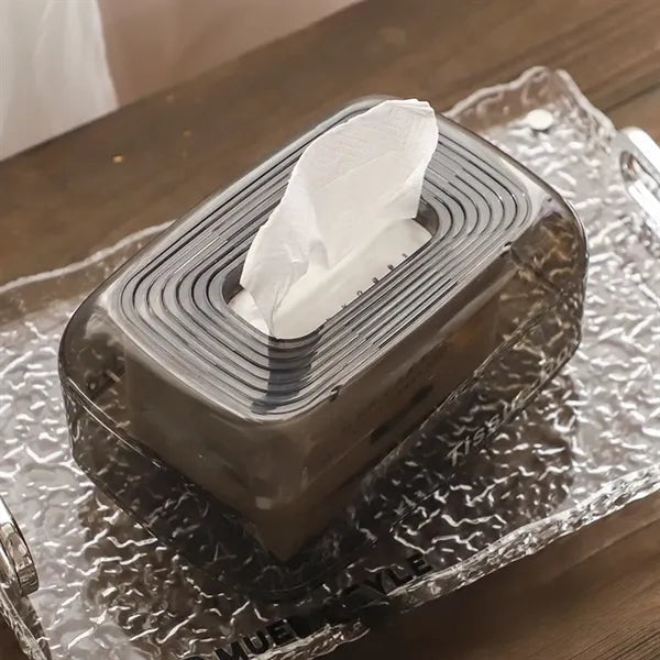 Modern Clear Tissue Box