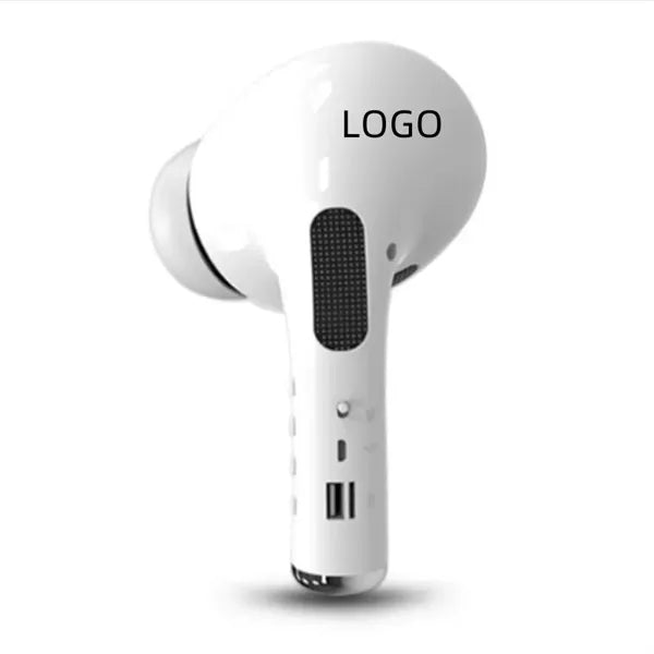 Outdoor Car Portable Wireless Speaker With FM Radio