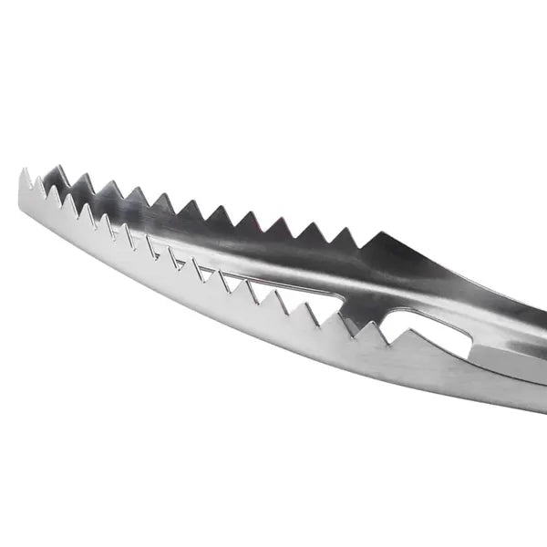 Multifunctional stainless steel fish scale planer bottle ope