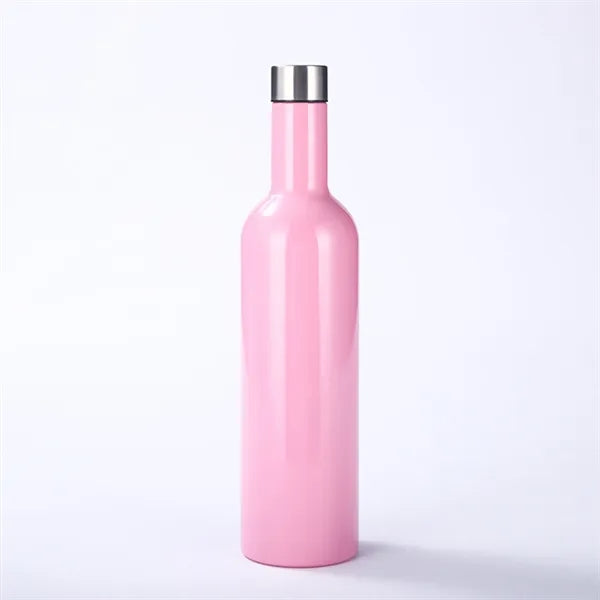 25oz Insulated Tumbler with Screw Lid Canteen Bottle