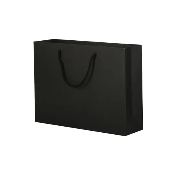 Cardboard Gift Ppaer Bag with Handle