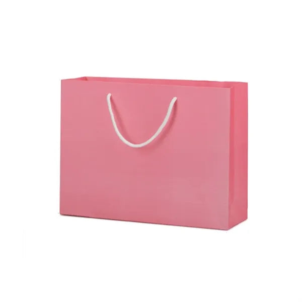 Cardboard Gift Ppaer Bag with Handle