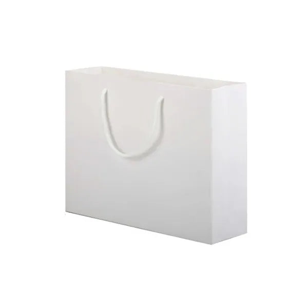 Cardboard Gift Ppaer Bag with Handle