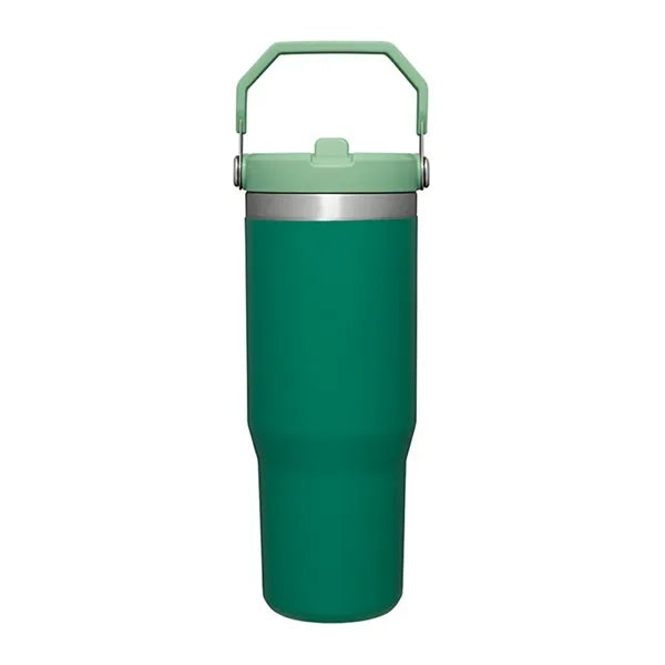30oz Stainless Steel Tumbler with Handle and Straw