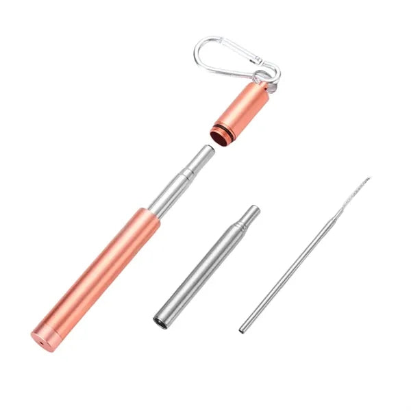 Stainless Steel Straw Set