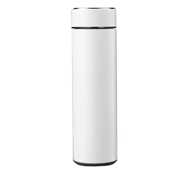 Stainless Steel Water Bottle with Temperature Display Cover