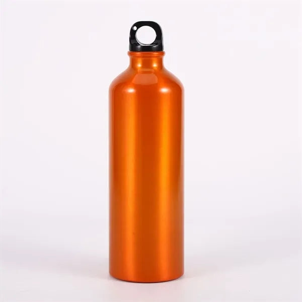 17oz Aluminum Water Bottle with Carabiner