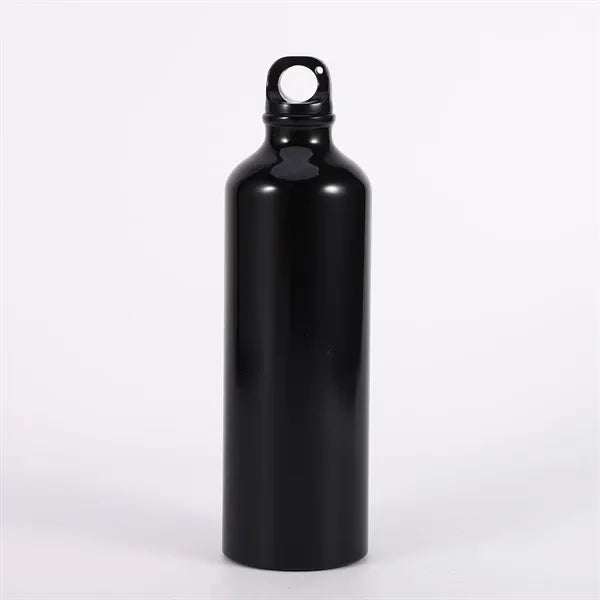17oz Aluminum Water Bottle with Carabiner