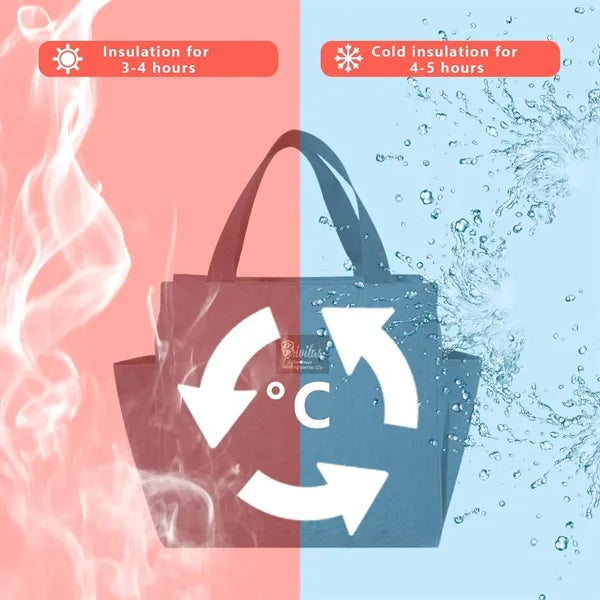 Sealed Insulated Lunch Carrier