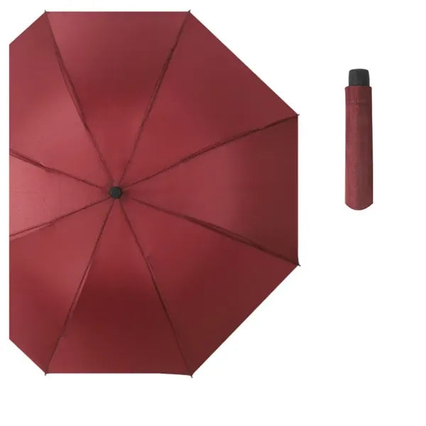 Windproof & Rainproof Umbrella