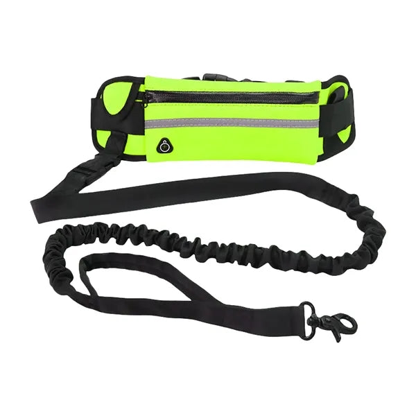 Nylon Hands Free Dog Leash with Pouch