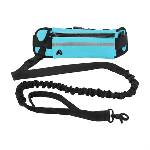 Nylon Hands Free Dog Leash with Pouch