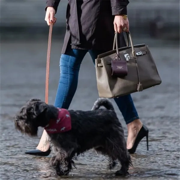 Dog Waste Bag Holder Leash Attachment