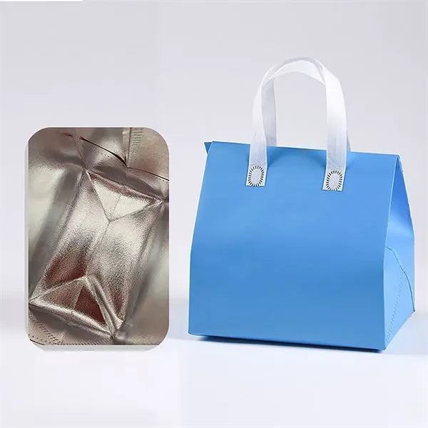 10.2-Inch Insulated Food Delivery Bag