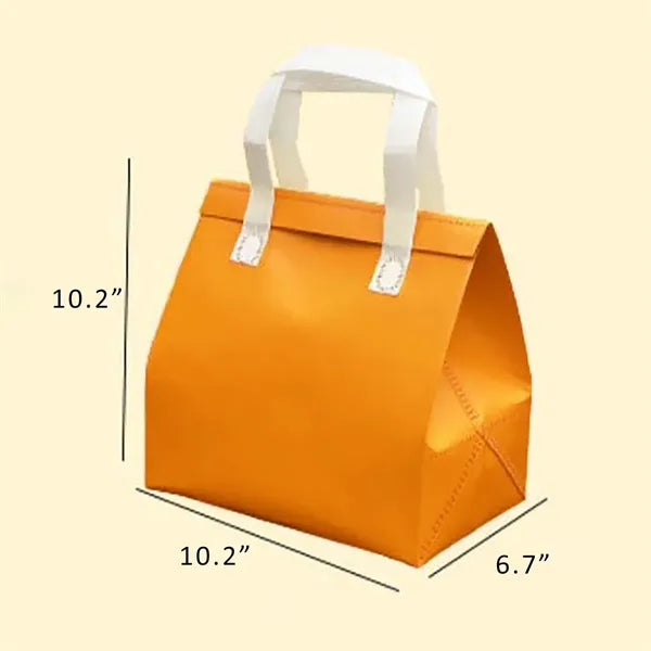 10.2-Inch Insulated Food Delivery Bag