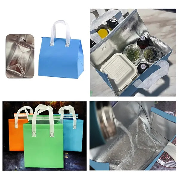 10.2-Inch Insulated Food Delivery Bag