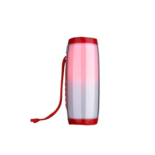 Portable Wireless Speaker with Strong Bass