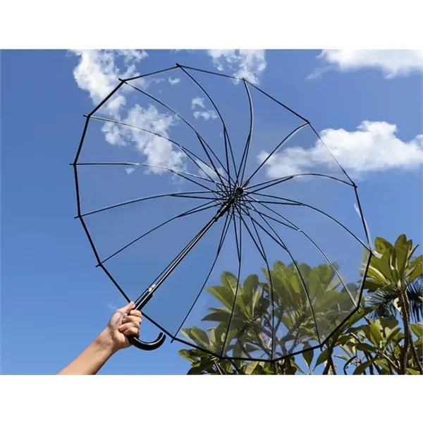 Clear Auto Open Umbrella with Long handle