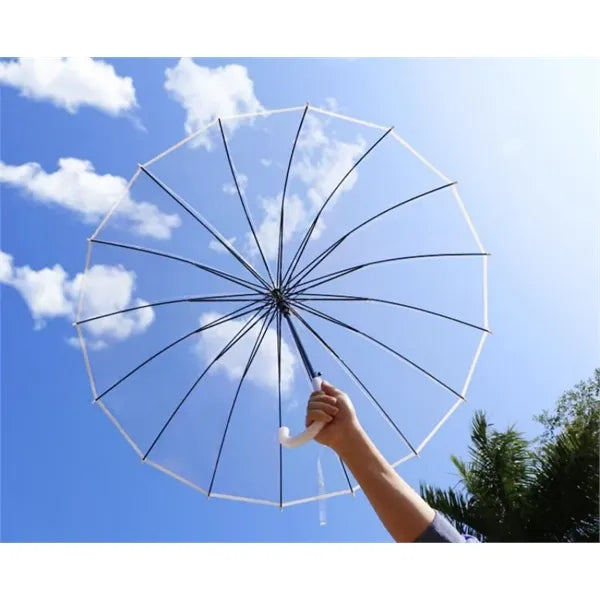 Clear Auto Open Umbrella with Long handle