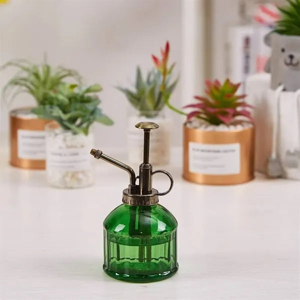 Glass Plant Mister Spray Bottle