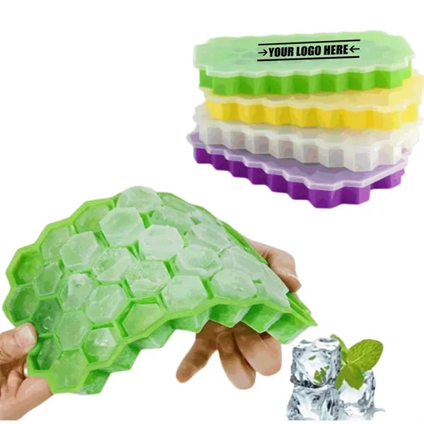 Grid Mold With Removable Ice Tray