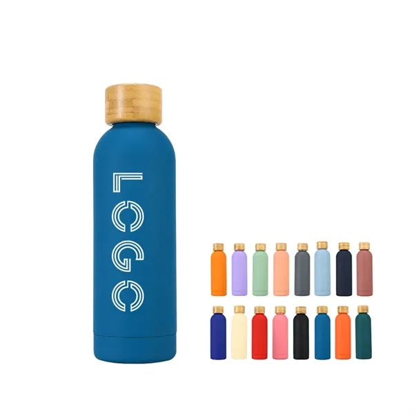 Stainless Water Bottles 17oz