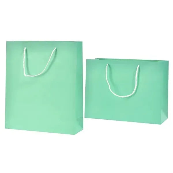 Matte Laminated Paper Shopping Bag