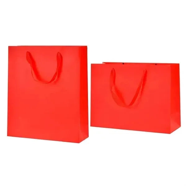 Matte Laminated Paper Shopping Bag