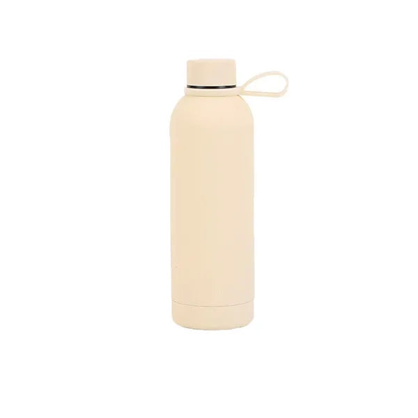 Multi-Color Stainless Steel Insulated Cup